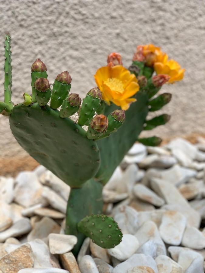 Natura 7 Medulin Dış mekan fotoğraf
